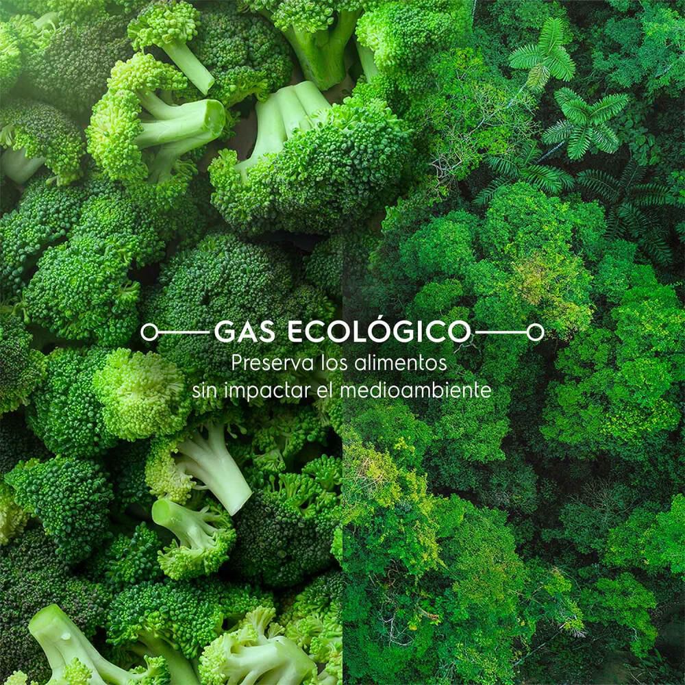 Refrigerador Top Freezer Mademsa Altus 1200i / No Frost / 197 Litros / C image number 8.0